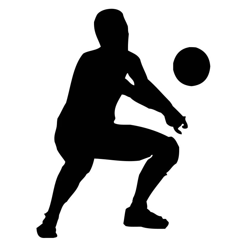 volleyball bagger