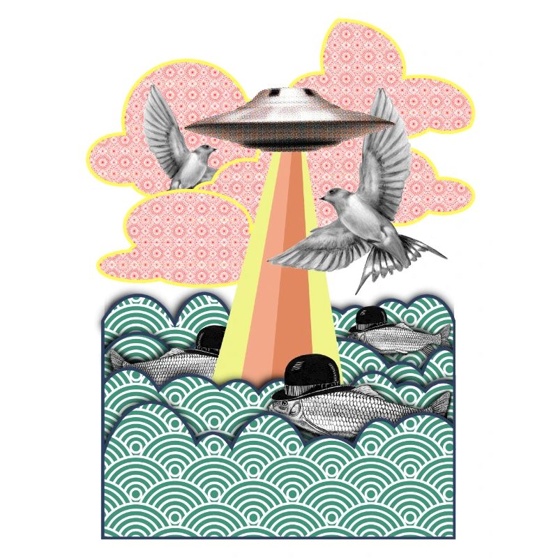 Flamingo