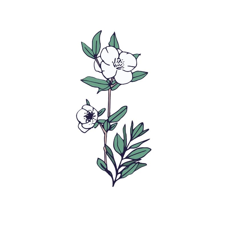 Rosen Design