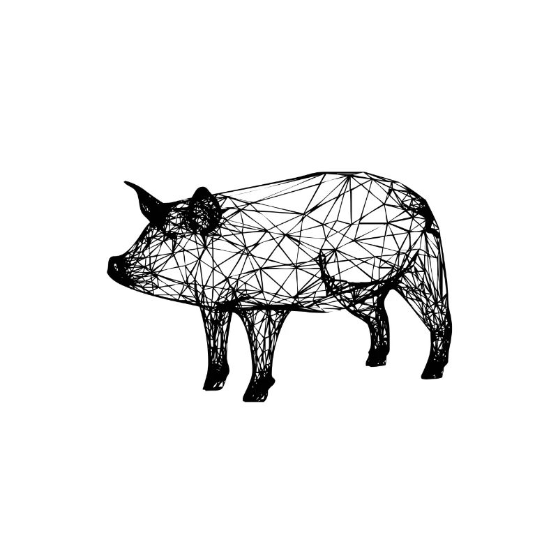 Schwein