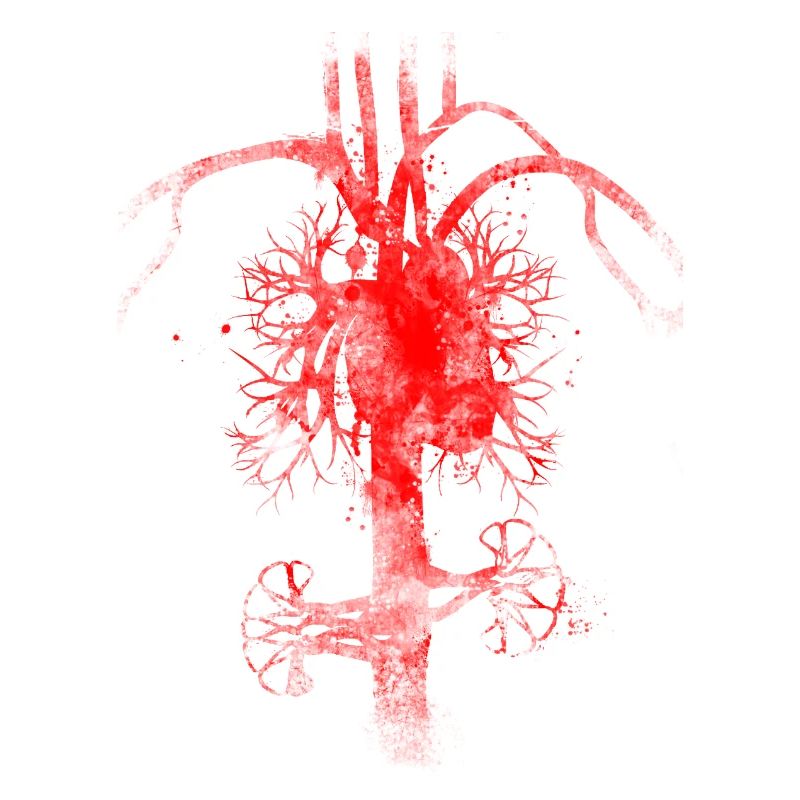 Blutkreislauf inside out