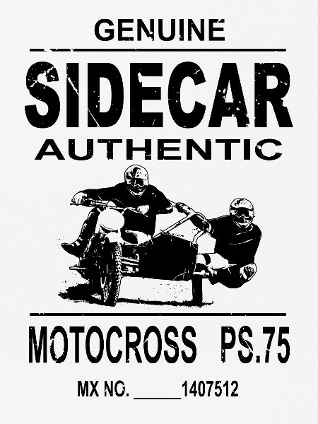 Sidecar Moto Cross