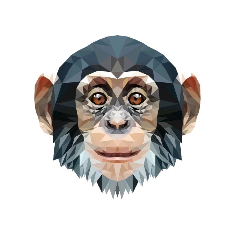 Polygone design singe chimpanzé