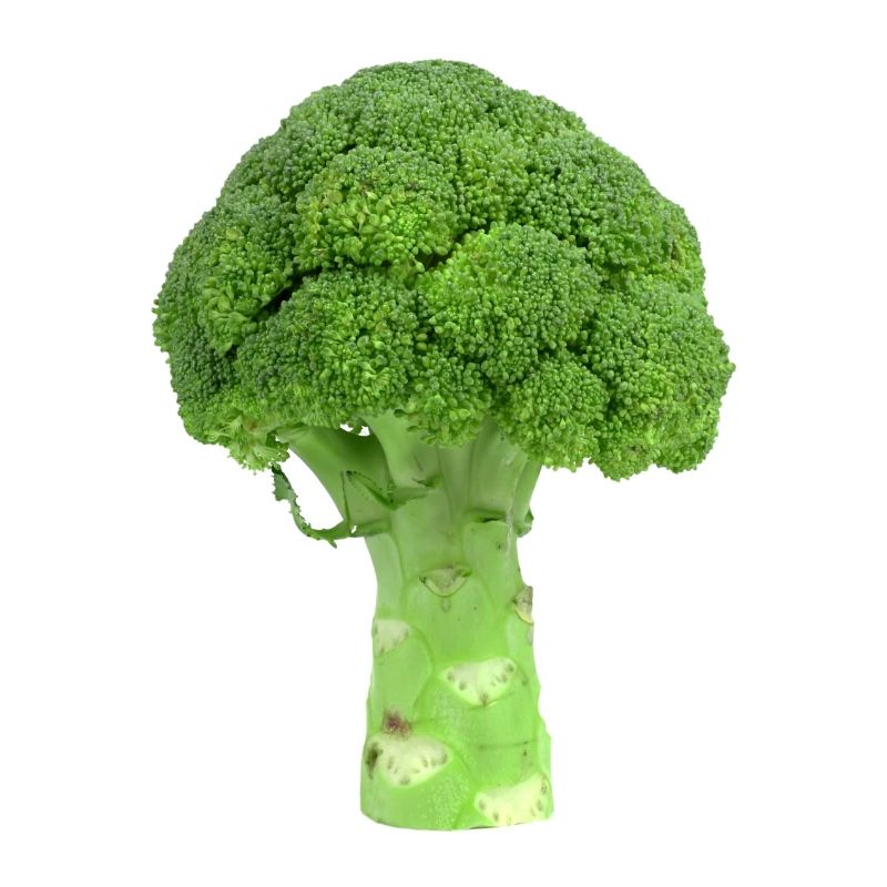 Broccoli. broccoli