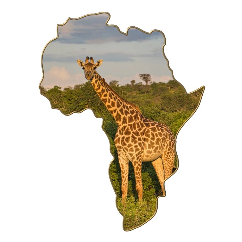 Giraffe in Kenia
