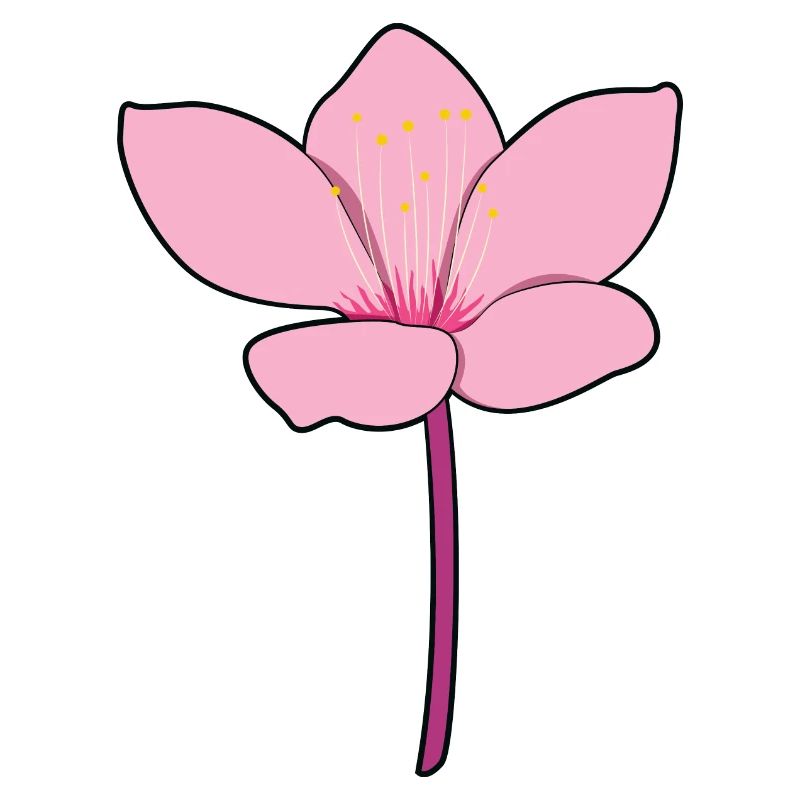 Japanische Kirschblüte