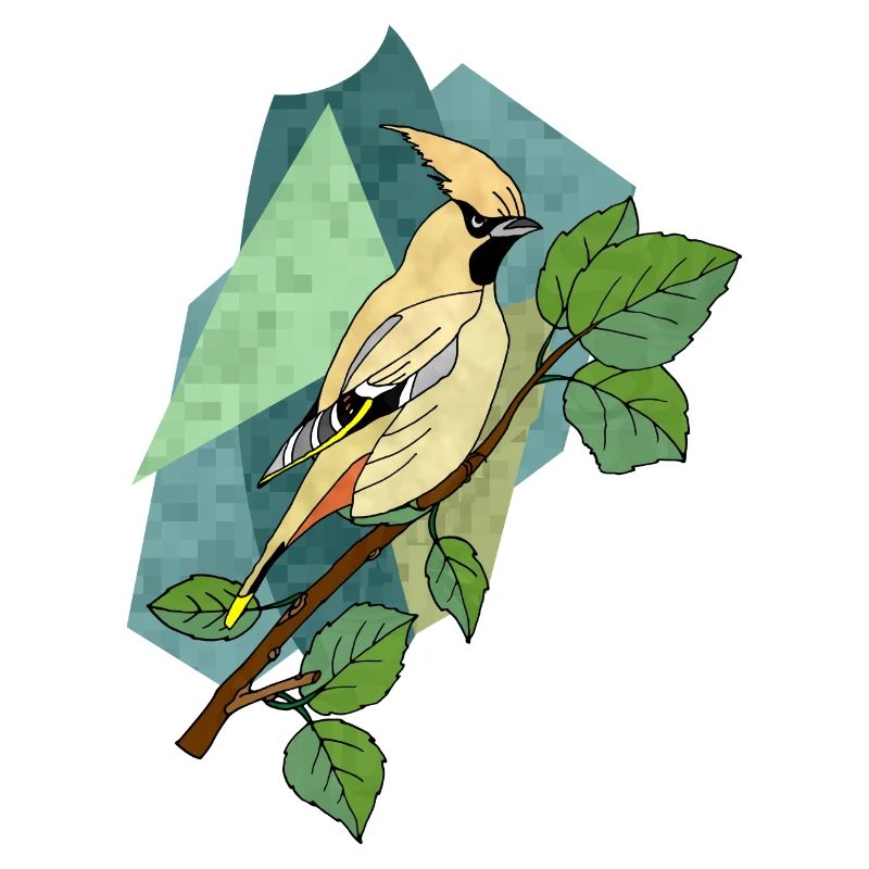 Vogel