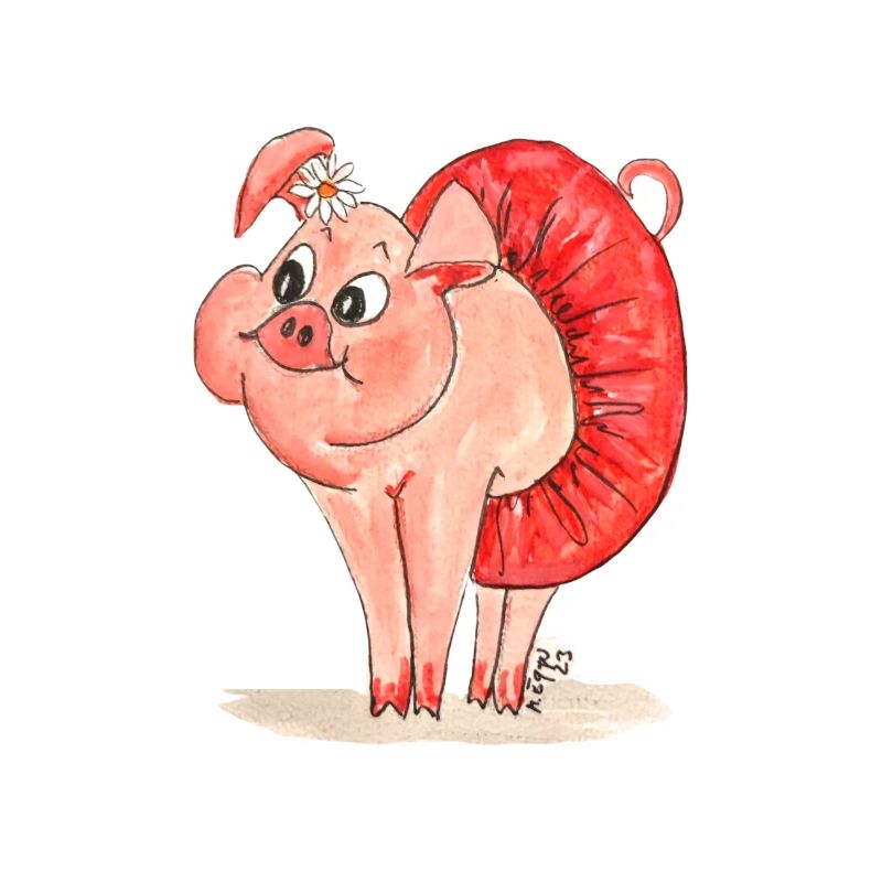 Schwein "Saskia"