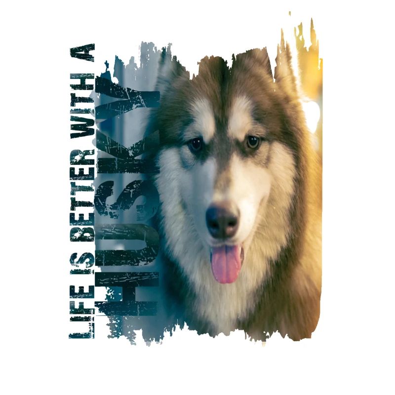 Siberian Husky