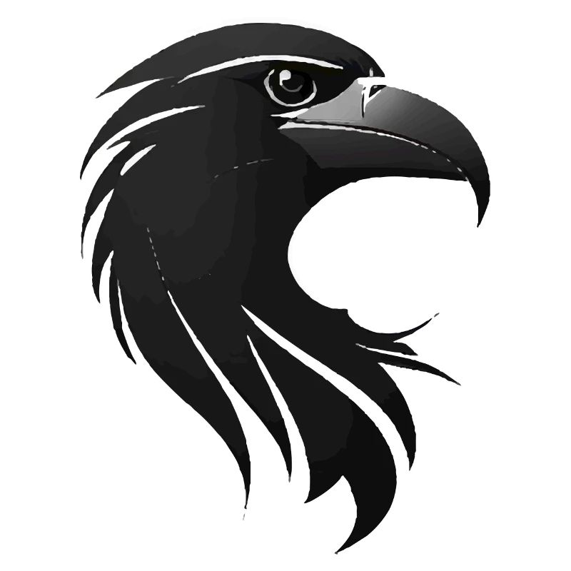 Adler Greifvogel Kopf