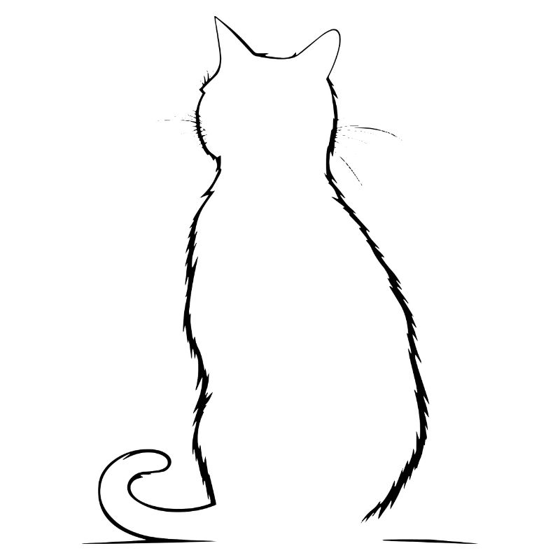 Katze, katzenmotiv
