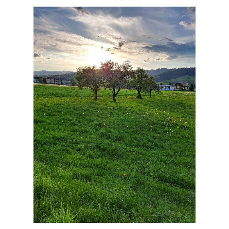 1000013729