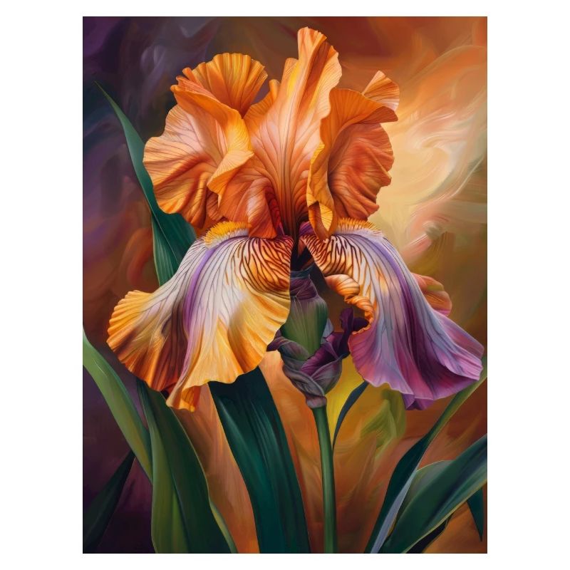 Iris FL 23