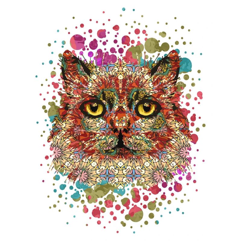 Katze