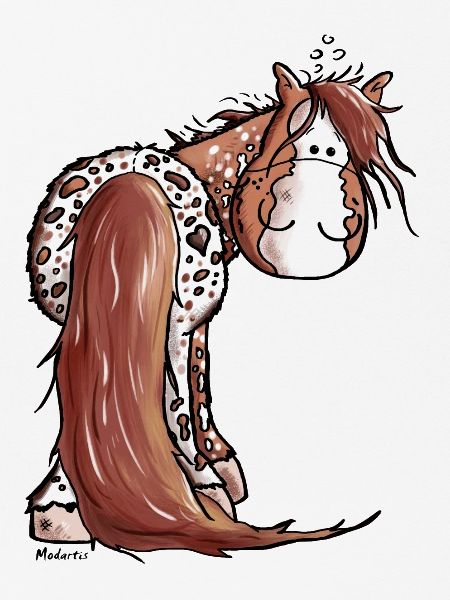 Goldiger Appaloosa - Westernpferd