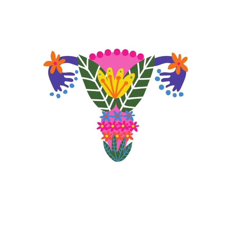 Gebärmutter weiblich