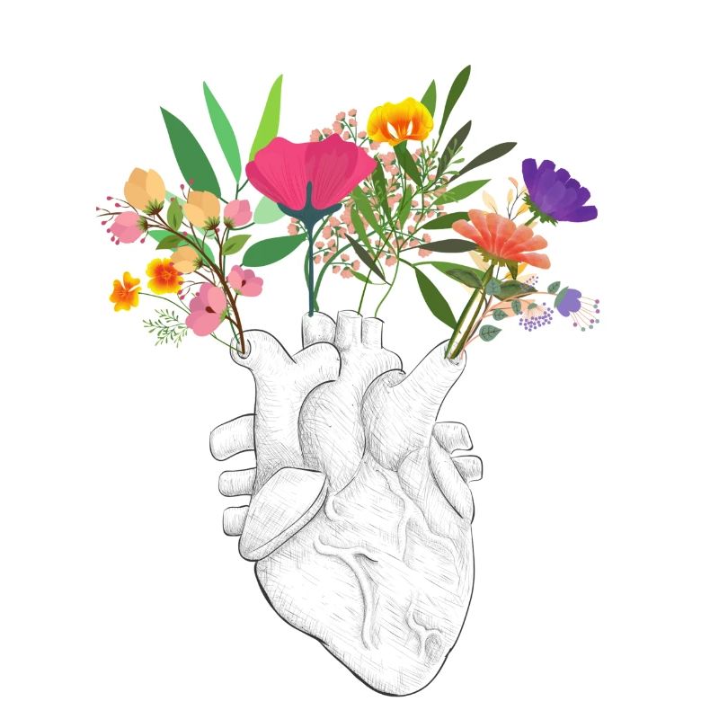 heart