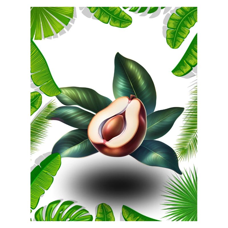 Sapodilla