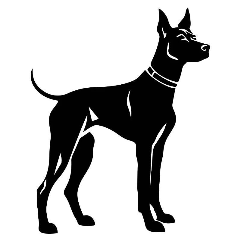 Doberman Dog