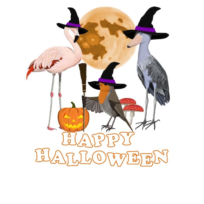 Robin Halloween Citrouille Lune Oiseau Biologiste