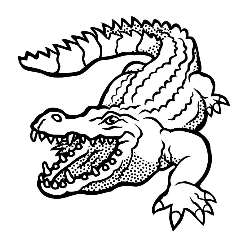 kroko 79