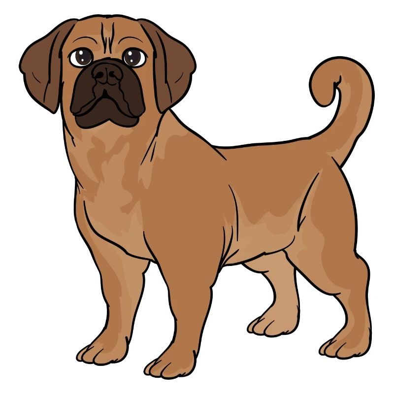 Puggle Beagle Pug Dog