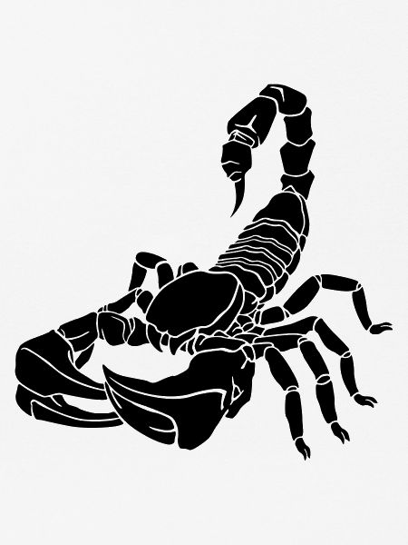 stilisierter Skorpion