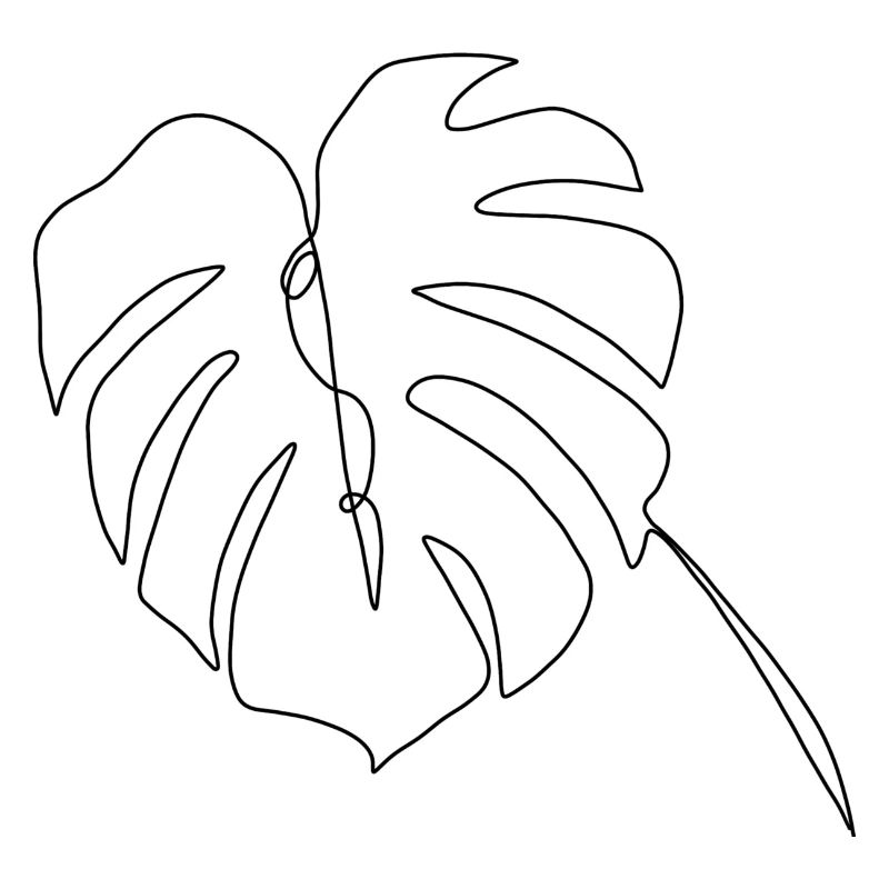 Monstera lineart