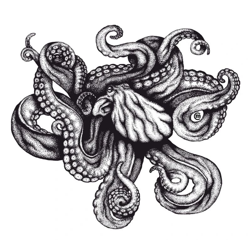 Octopus