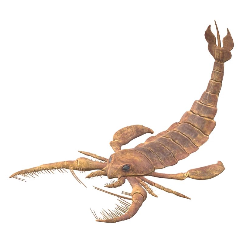 Jaekelopterus
