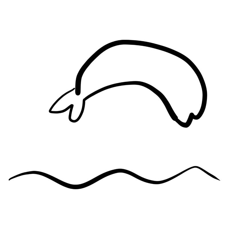 delfin wasser