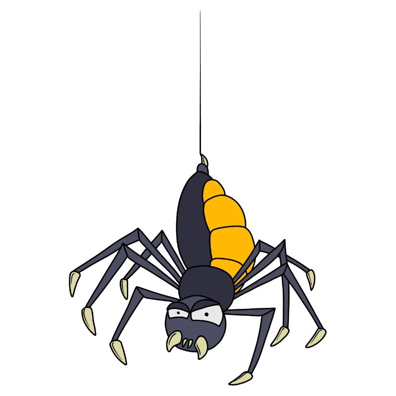 Spinne
