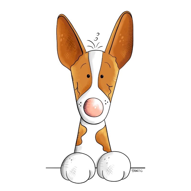 Neugieriger Podenco
