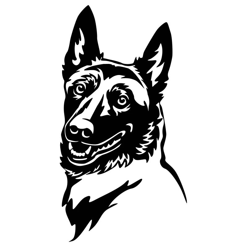 Malinois Kopf