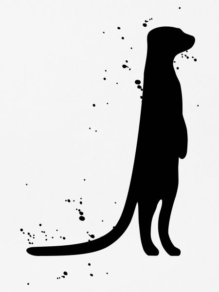 Erdmännchen