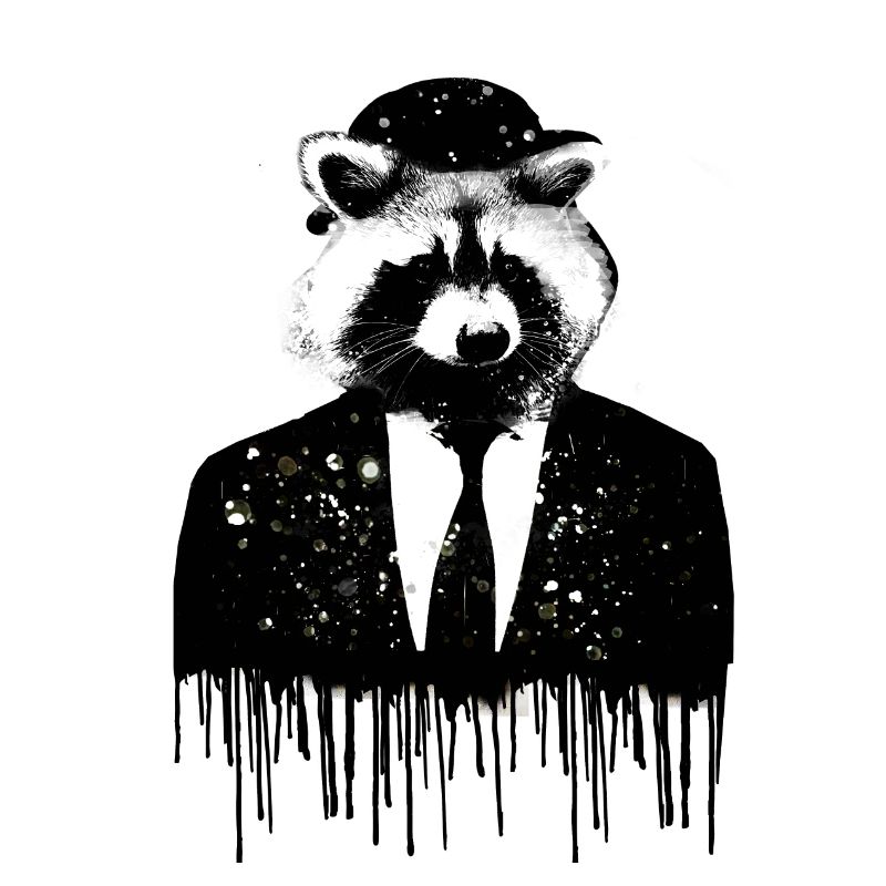 waschbär,bär,graffiti,malerei,anzug
