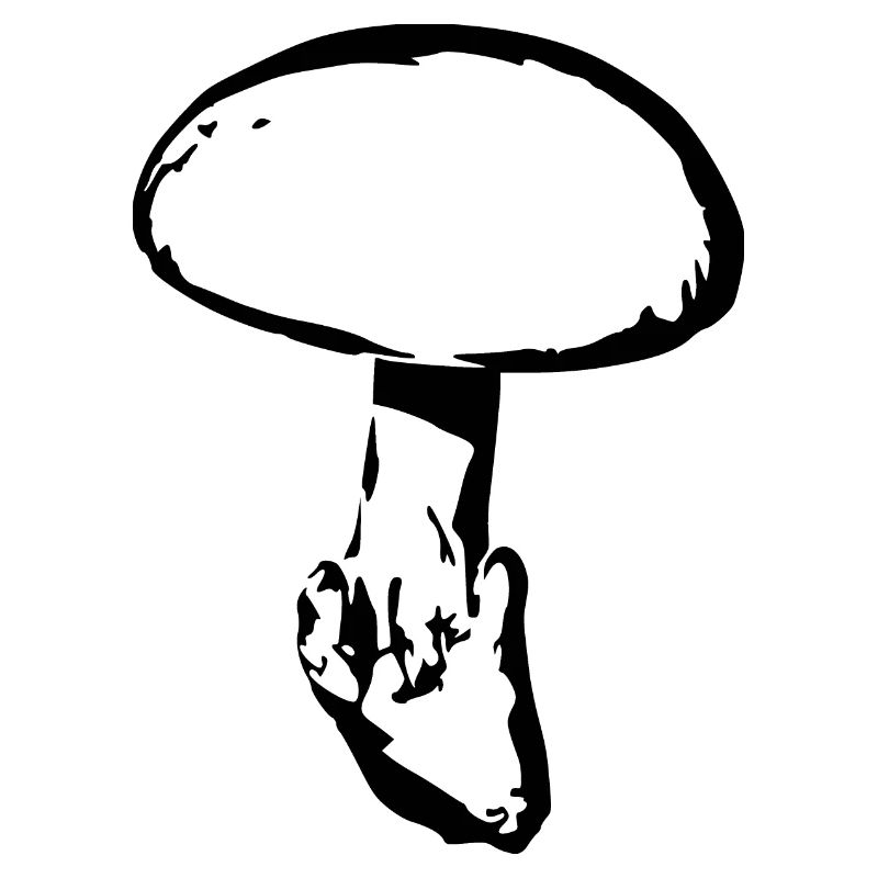 Mushroom black, mushroom picking
