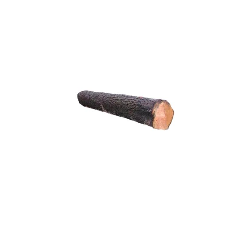 holz