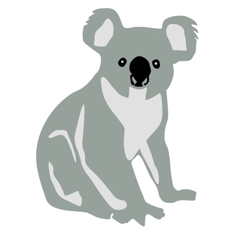 Koala, Koalabär