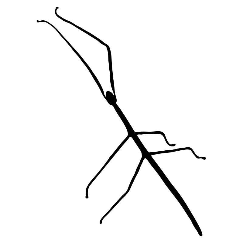Stick_ Insekt_s1