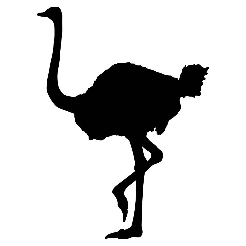 Ostrich