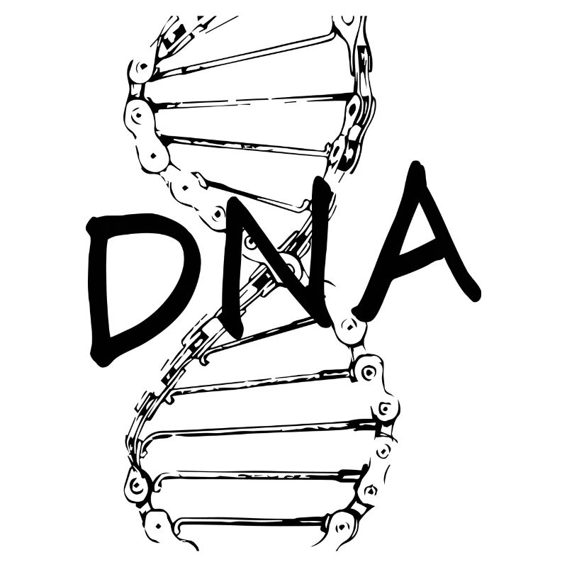 Biker DNA