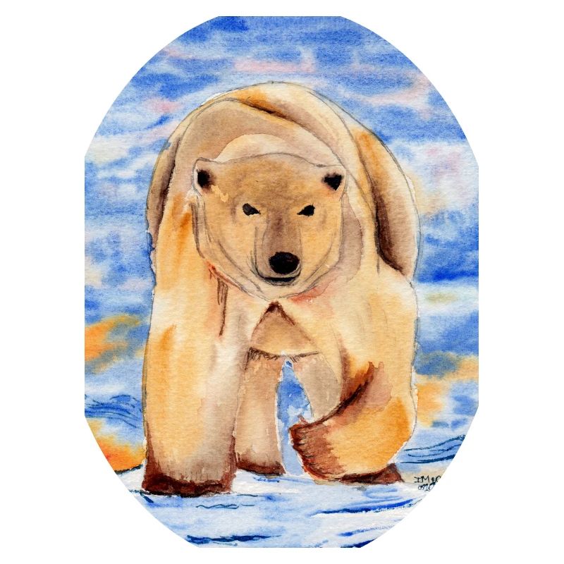 White Bear