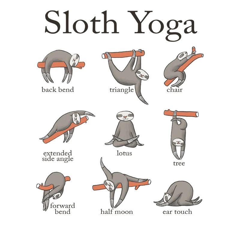 Faultier Yoga
