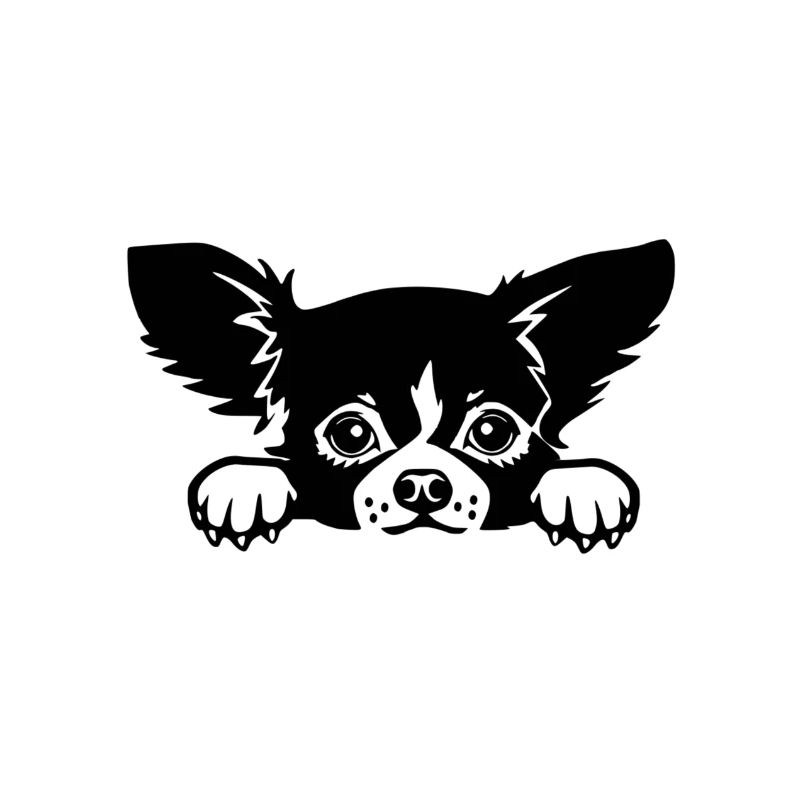 chiwawa