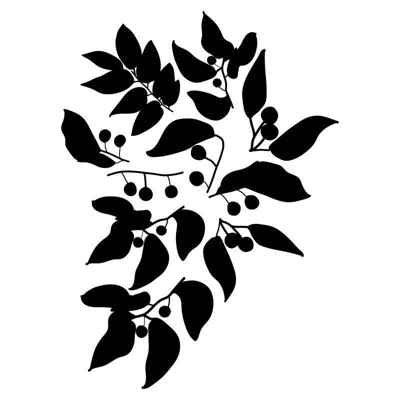 Beeren c1