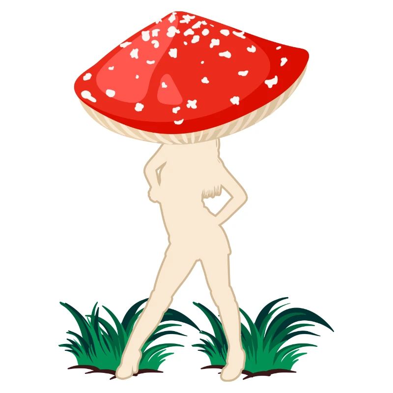champignons mouche agaric fée mouche agaric cueilleur de champignons agaric