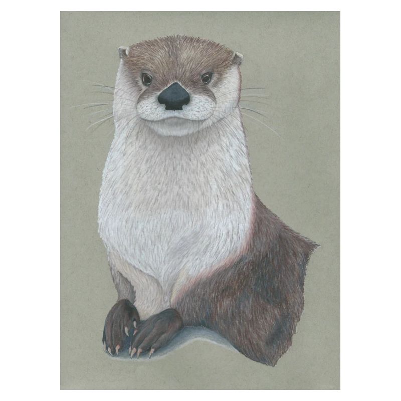 230324 Otter 3