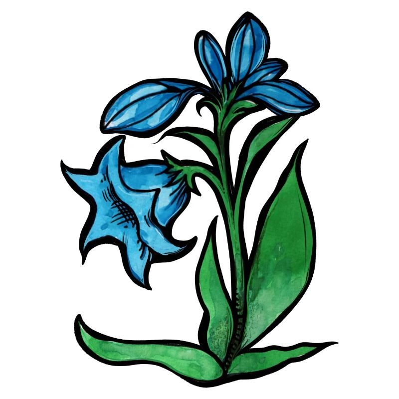 Blaue Blume