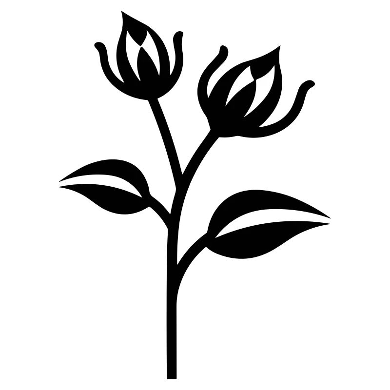 Blume
